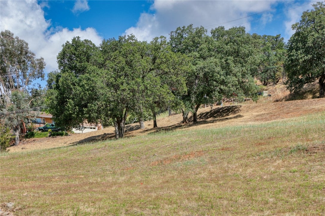 17270 Knollview