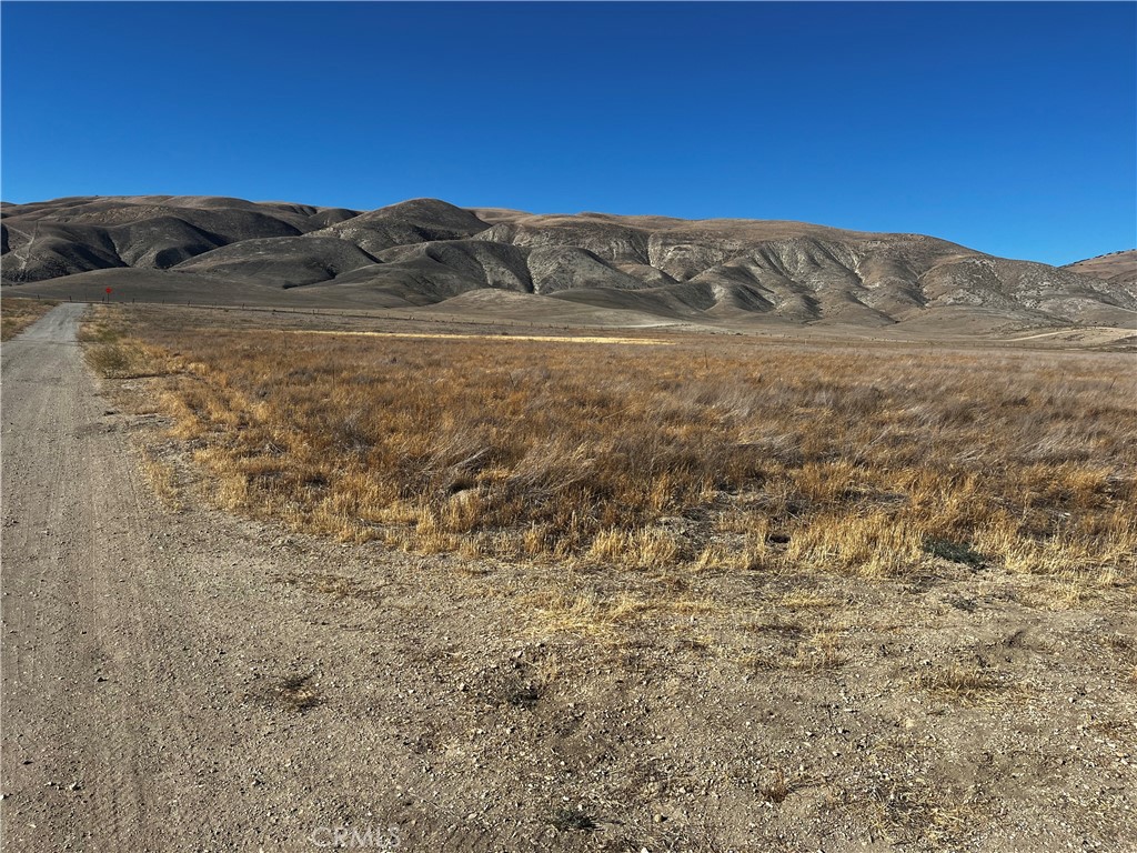 Carrizo Plains/California Valley(62) - Land