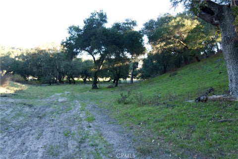 Tiny photo for 0 Huasna Road, Arroyo Grande, CA 93420 (MLS # PI25236520)