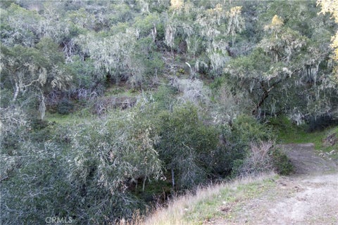 Tiny photo for 0 Huasna Road, Arroyo Grande, CA 93420 (MLS # PI25236520)