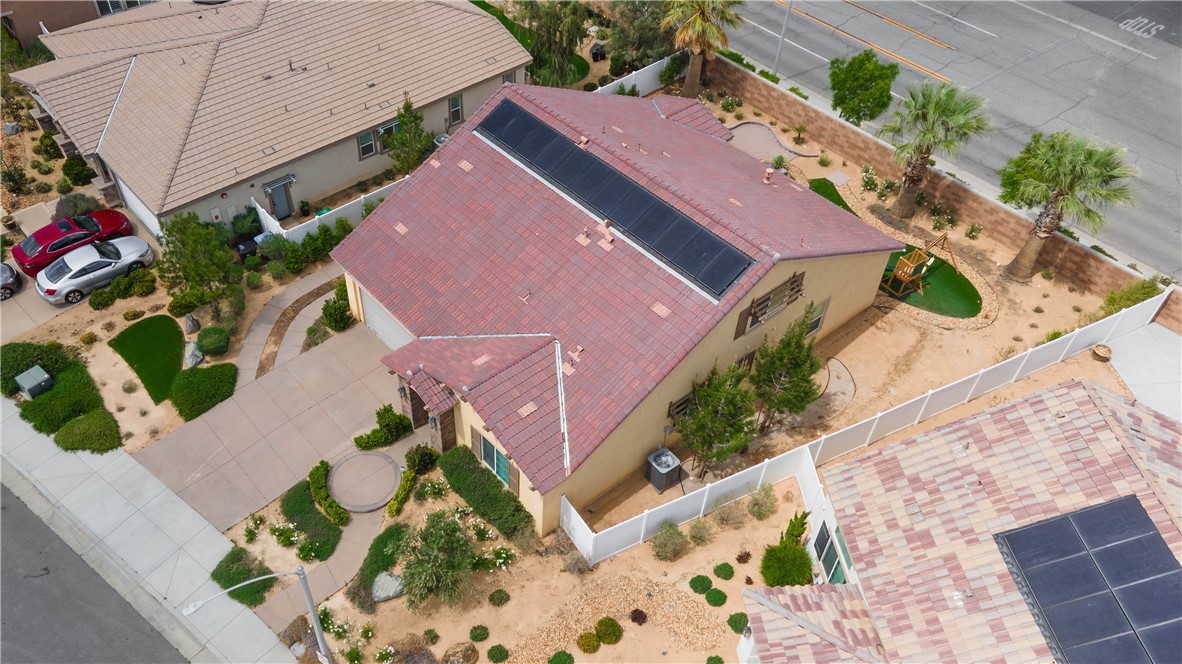 2041 Cork Oak Street
