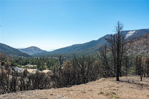 0 North Cardinal Rd Wrightwood CA 92397