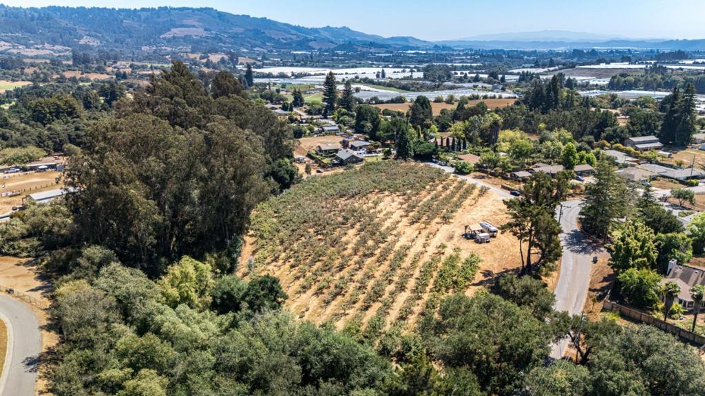 4+ Acres in the sought-after area and community "Corralitos." So much potential here! Imagine the possibilities with this unique parcel. Plenty of room to build your primary residence. You're also able to build an ADU up to 1,200 sq. ft. and a 500 sq. ft. junior ADU attached to the main house, with room to spare for a barn and other outbuildings. Currently this is an apple orchard, and there are very large and nice flat areas perfect to set your main home & ADU on. Property has two access driveways- one from Gilchrist and one from Wheelock. There is a 50 gallons per minute (GPM) producing water well along with PG&E power already at the property. Currently the orchard and roadside hedge have above ground irrigation lines and sprinkler heads with 10 electric watering stations and can be managed remotely. The existing concrete foundation outline is where the barn previously was. The property is zoned Residential Ag (RA) and does allow for horses, farm animals and anything else allowed on RA property. The parcel is level for a large part of the 4 acres and the views of the nearby hills are appealing and tranquil, adding more amazing ambiance to this property. The location is another plus as you will see.
