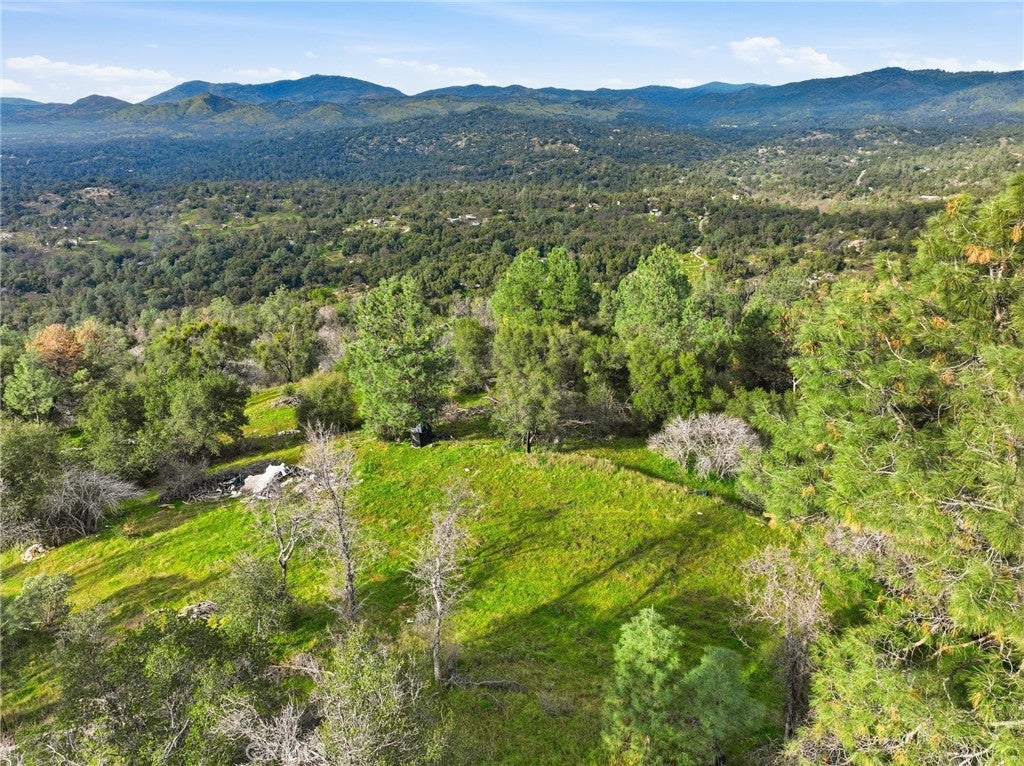 0 Lookout moumtain