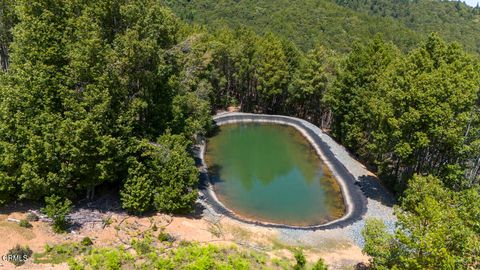 Photo of 4350 Cahto Peak Road, Laytonville, CA 95454 (MLS # C1-10581)