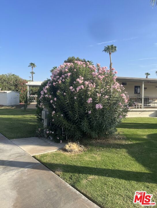 84136 Avenue 44 217