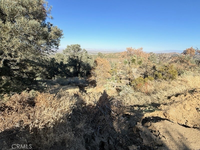 0 Homeridge Drive