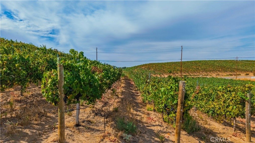 0 Monte De Oro
