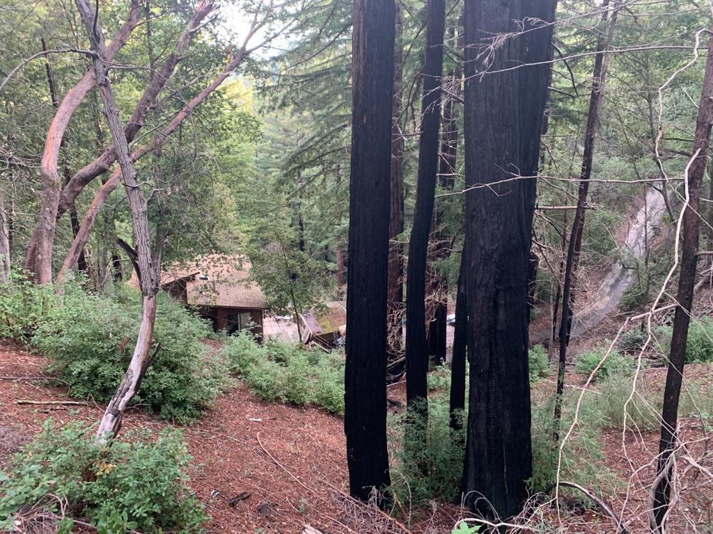 615 Heartwood