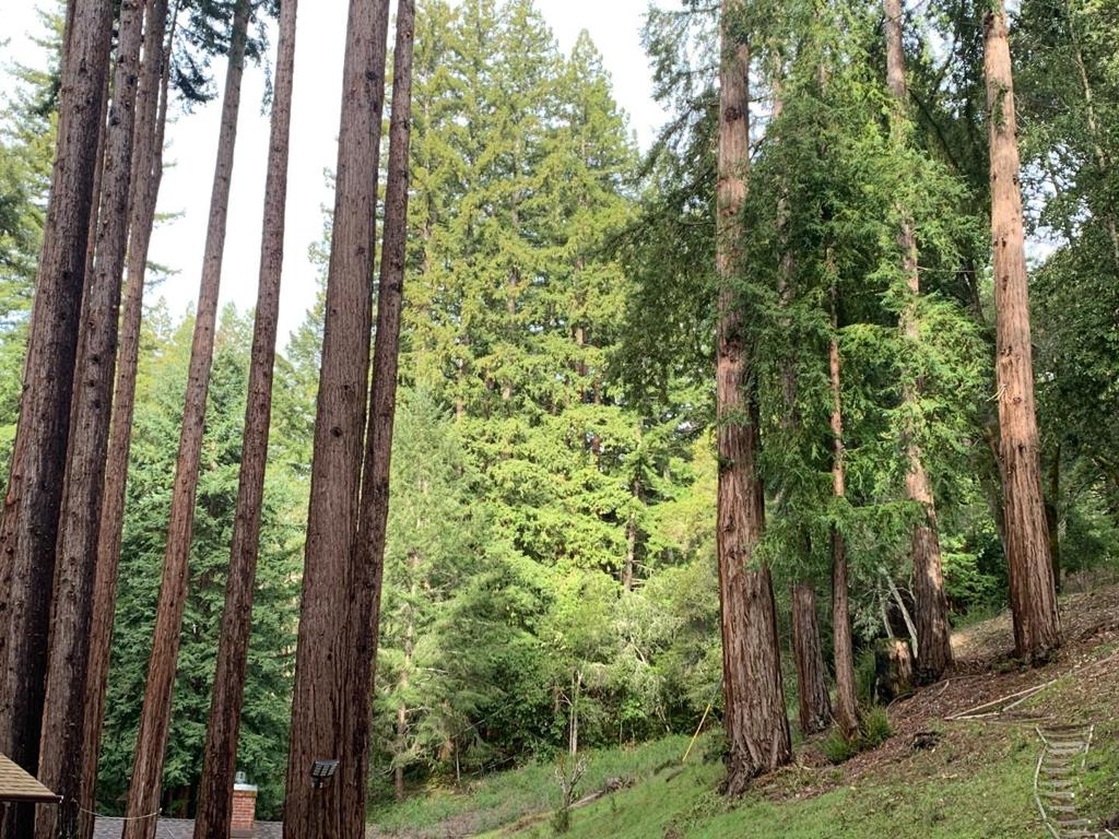 615 Heartwood