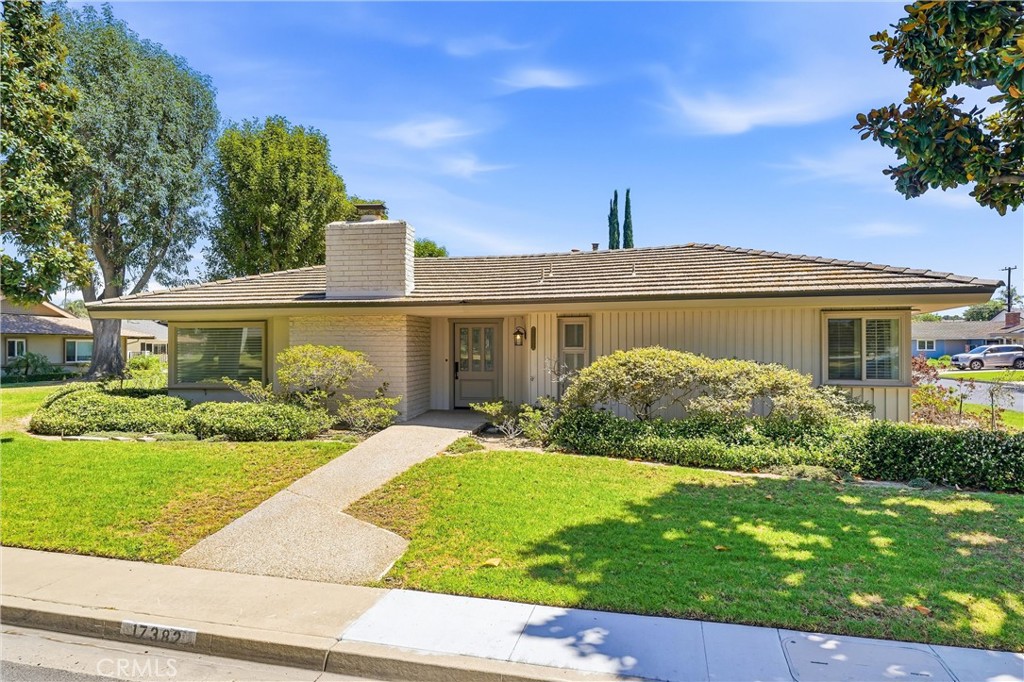 17382 Jacaranda