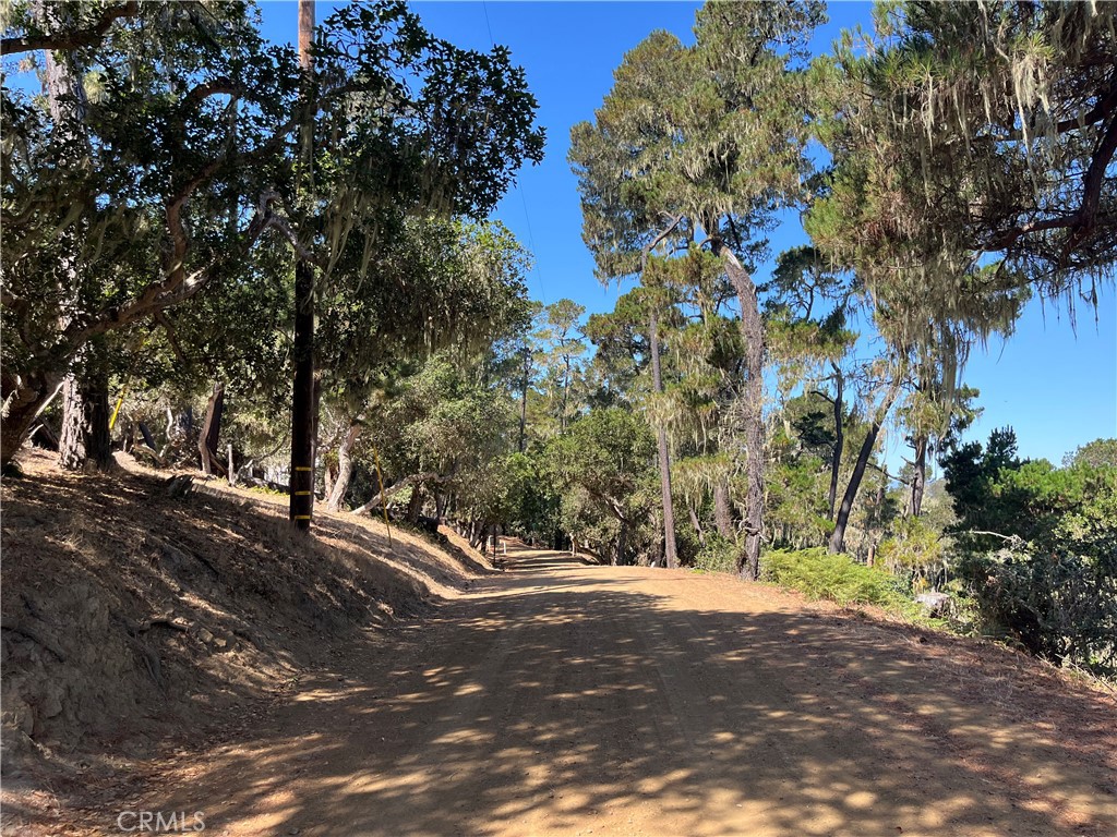 Lodge Hill(430) - Land