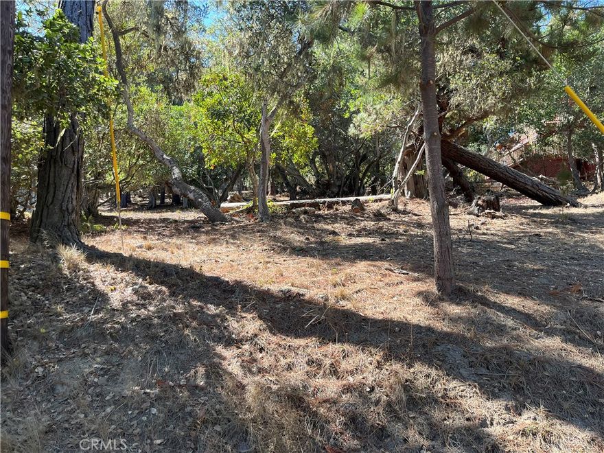 Gently upward sloping lot from street in the heart of Lodge Hill. Forest views with abundant wildlife and endless outdoor recreational activities. Short walking distance to the Fiscalini Ranch Preserve with over 420 acres of walking trails that take you through the Monterey Pine Forest overlooking the Pacific Ocean. Beach access only one mile away. No water position. Buy and hold for now until the current building moratorium for new construction is lifted. Check CCSD and county websites (cambriacsd.org & slocounty.ca.gov) for info on the moratorium and allowable uses for property.