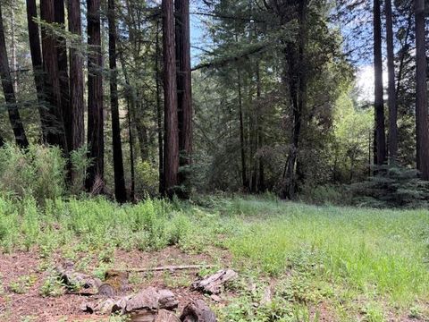 Photo of 1701 Felton Quarry Rd. RD, Felton, CA 95018 (MLS # ML82049332)