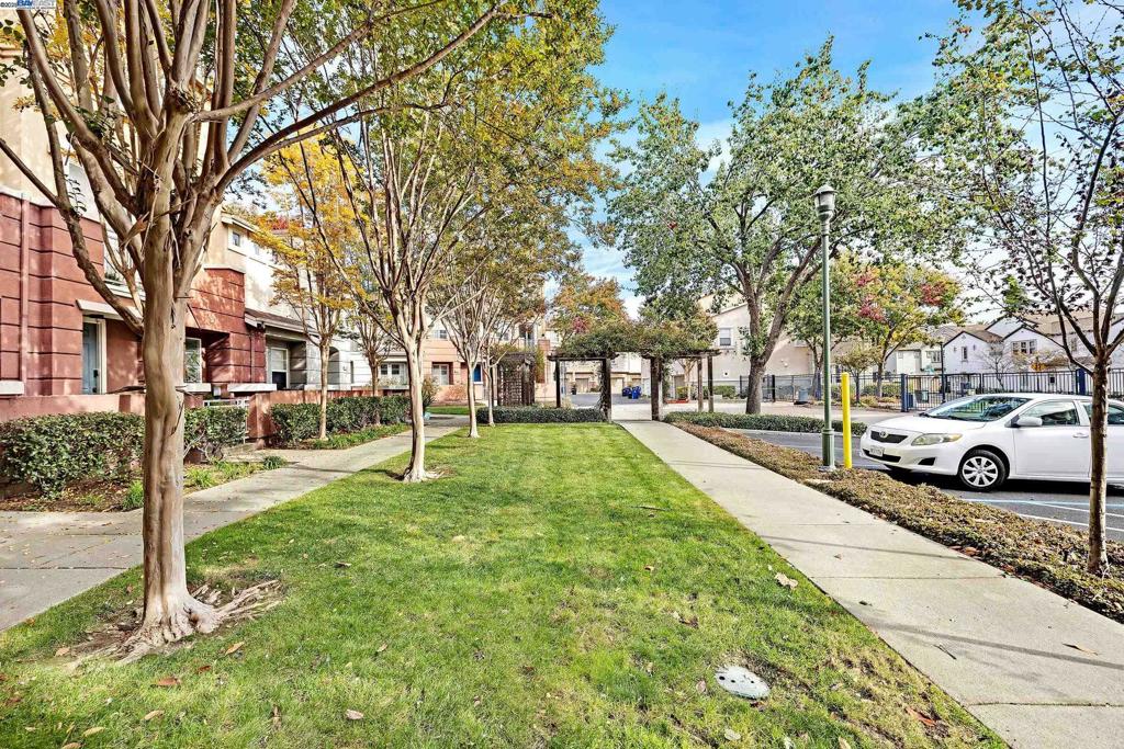 DOWNTOWN HAYWARD - Residential