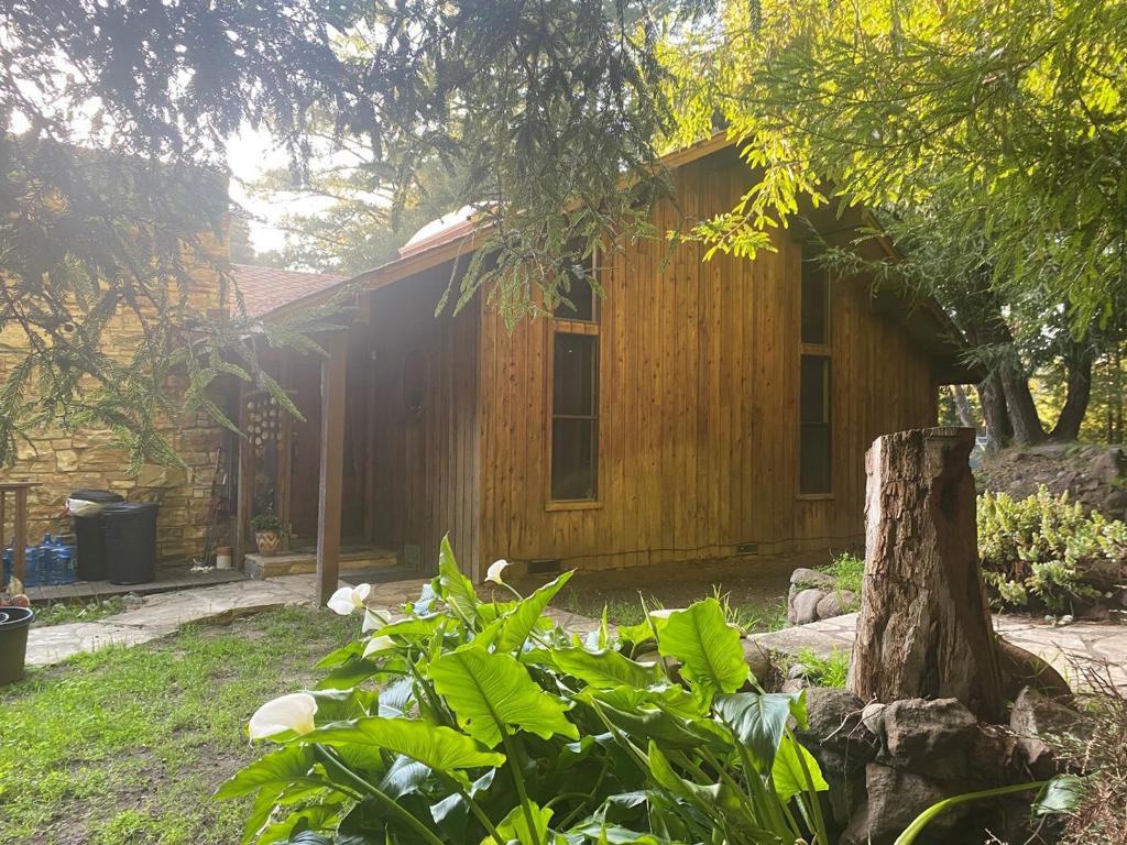 Tucked away in the serene embrace of majestic redwoods, 341 Metalwood Drive is a private 16-acre retreat offering the perfect blend of rustic charm and natural beauty. This rare multiple-structure property includes a 3 bedroom, 2 bath main residence and a separate approximate 484 SF 1 bedroom, 1 bath guest cottage - ideal for multigenerational living, rental income, or a peaceful home office setup. The main house, with over 1,783 sq ft of living space, features timeless wood craftsmanship, vaulted ceilings with skylights, and a cozy stone fireplace that anchors the living room. Wander down charming stone-lined paths, relax under the forest canopy, and enjoy evenings by the custom-built circular stone fire pit. Every corner of this property invites you to unplug, unwind, and experience life in harmony with nature. Located minutes from downtown Soquel and Capitola's beaches, yet worlds away from the hustle, this high-value, high-potential property is ready for your vision. Whether you seek a weekend escape, a full-time residence, or an investment opportunity, 341 Metalwood Drive delivers unmatched tranquility and timeless appeal.