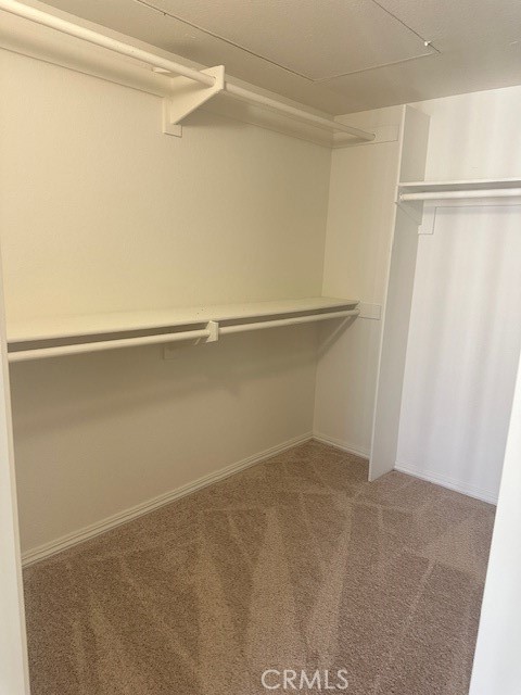 The Palms - Residential