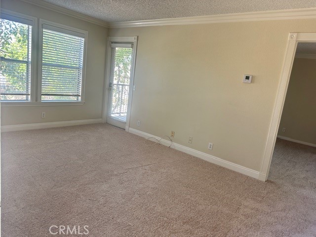 The Palms - Residential