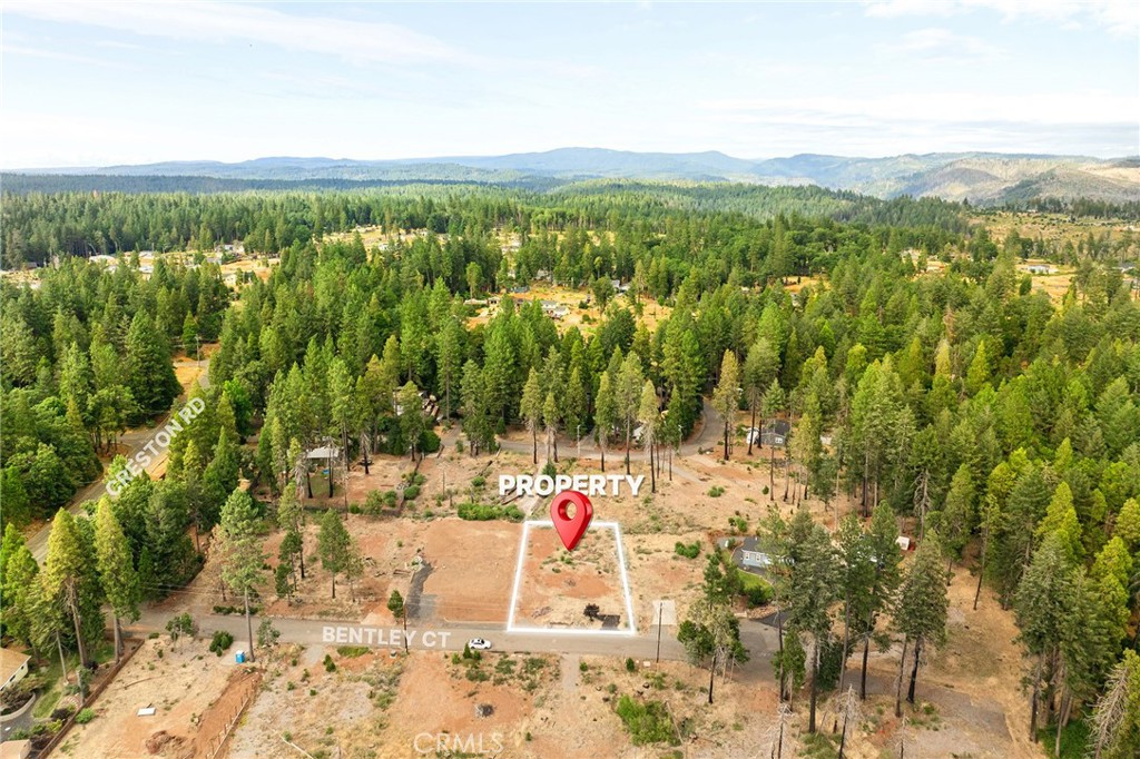 Discover the potential of this spacious 11,326 sq ft lot nestled in a quiet, tree-lined neighborhood of Magalia! Surrounded by mature trees and natural beauty, this generous parcel offers a peaceful setting and plenty of room to build your dream home! Part of the Paradise Pine POA, you can enjoy access to a recreation center offering pools, tennis courts, walking trails, live music, and more! Located in an area that is steadily rebuilding, this lot is a great opportunity to be part of a growing and revitalized community.