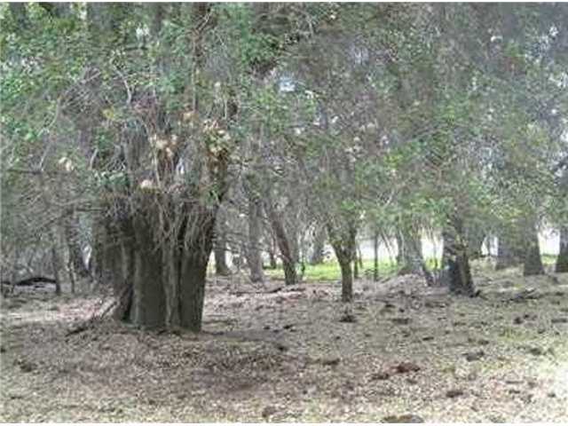 160 Historic Ranch Canebrake Road
