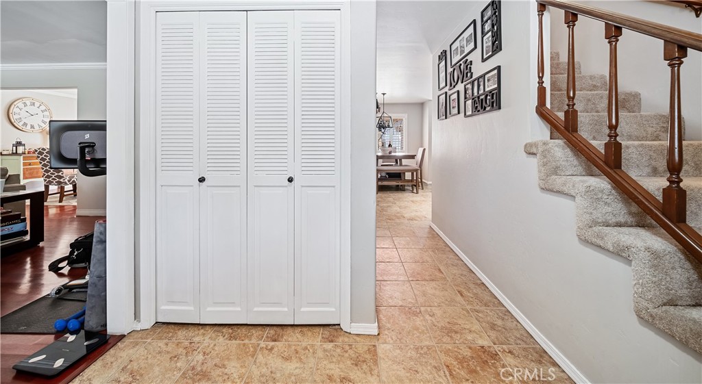 62 Pepper Tree