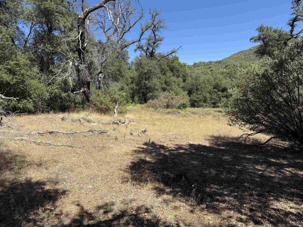 5909 Forest Meadow Road