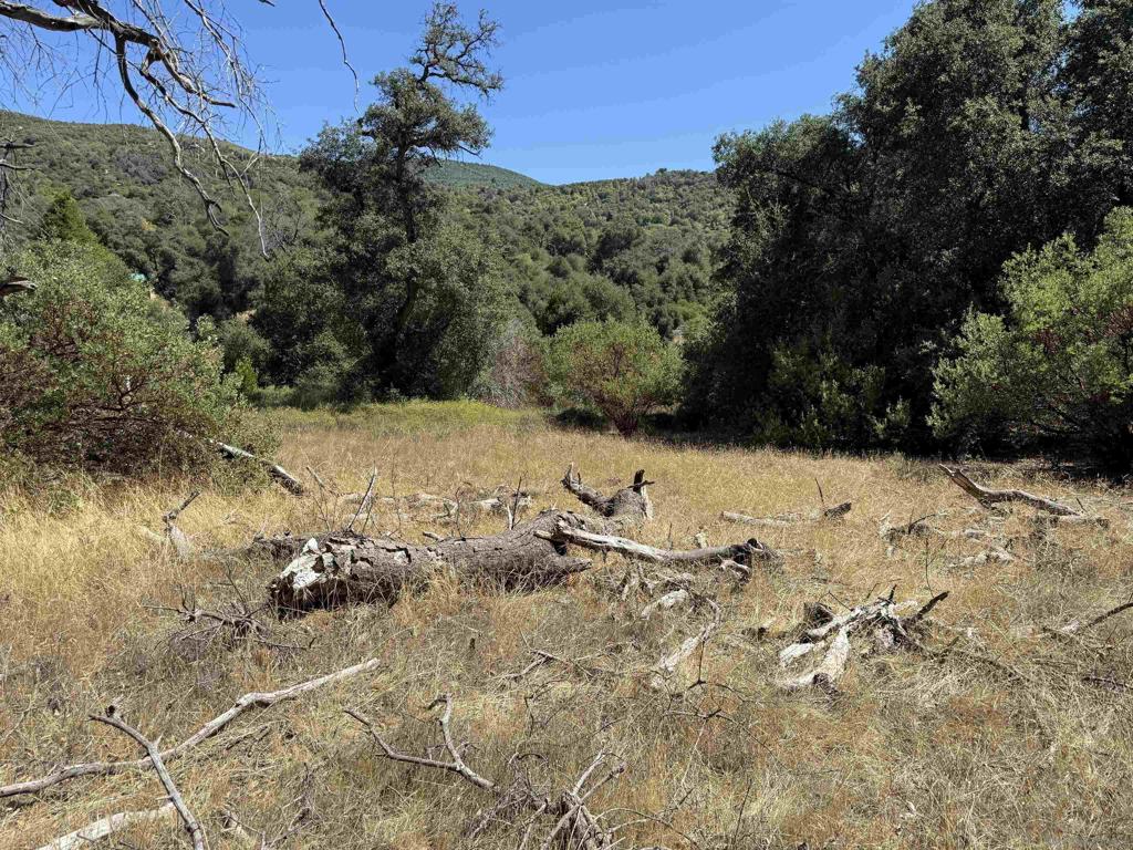 5909 Forest Meadow Road