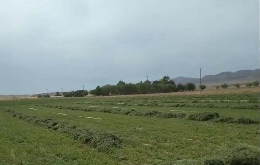 0 Panoche Road