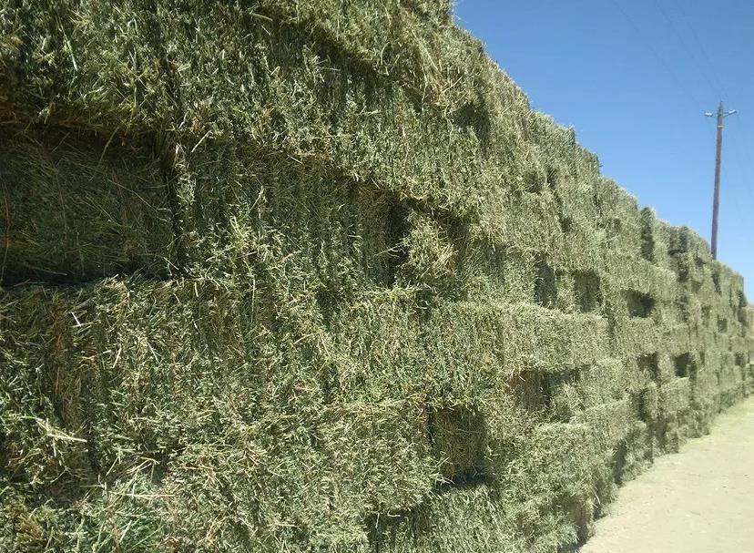0 Panoche Road