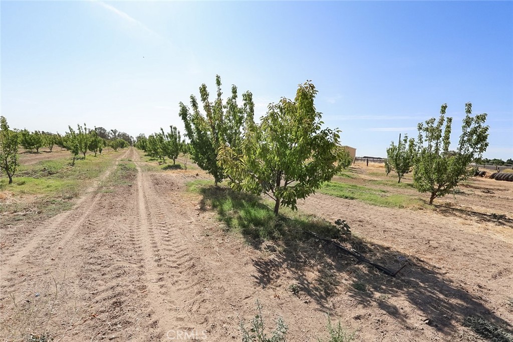 Opportunity knocks! This 10-acre cherry orchard offers not only agricultural potential but also multiple streams of income. The property features a well-maintained 3 bed, 2 bath mobile home and an additional sea train one bedroom unit currently used as a second residence, perfect for extended family or rental income. With ample space for truck parking and convenient access to Highway 99, it's an ideal location for trucking businesses or those seeking passive income through parking leases. There is leased solar on the property that covers almost all usage, for nearly no PG&E bill. The well was replaced 5 years ago, and a larger pump installed 3 months ago. The mobile was previously rented for $1,950. Whether you're an investor, grower, or entrepreneur, this versatile property has endless possibilities. Don't miss out!