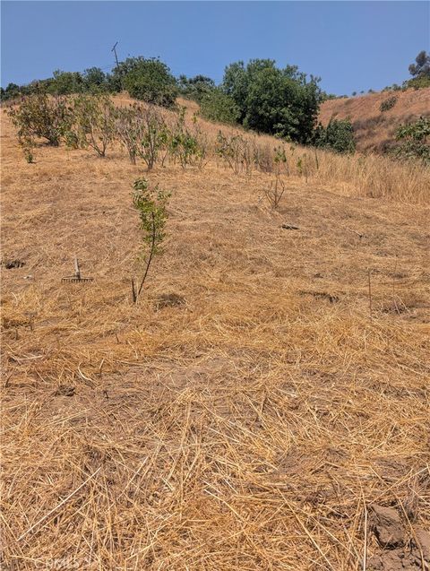 Photo of 3104 Lincoln Park Avenue, Lincoln Heights, CA 90031 (MLS # IV25149285)