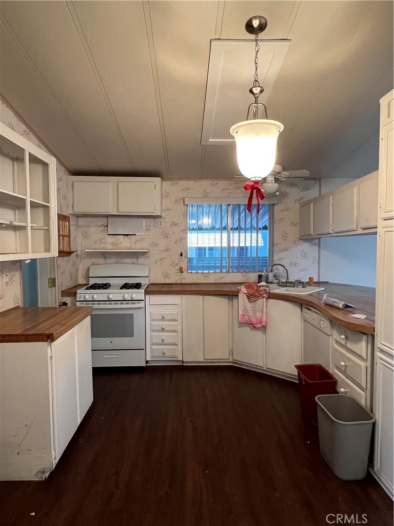 26151 Kentia Palm Drive