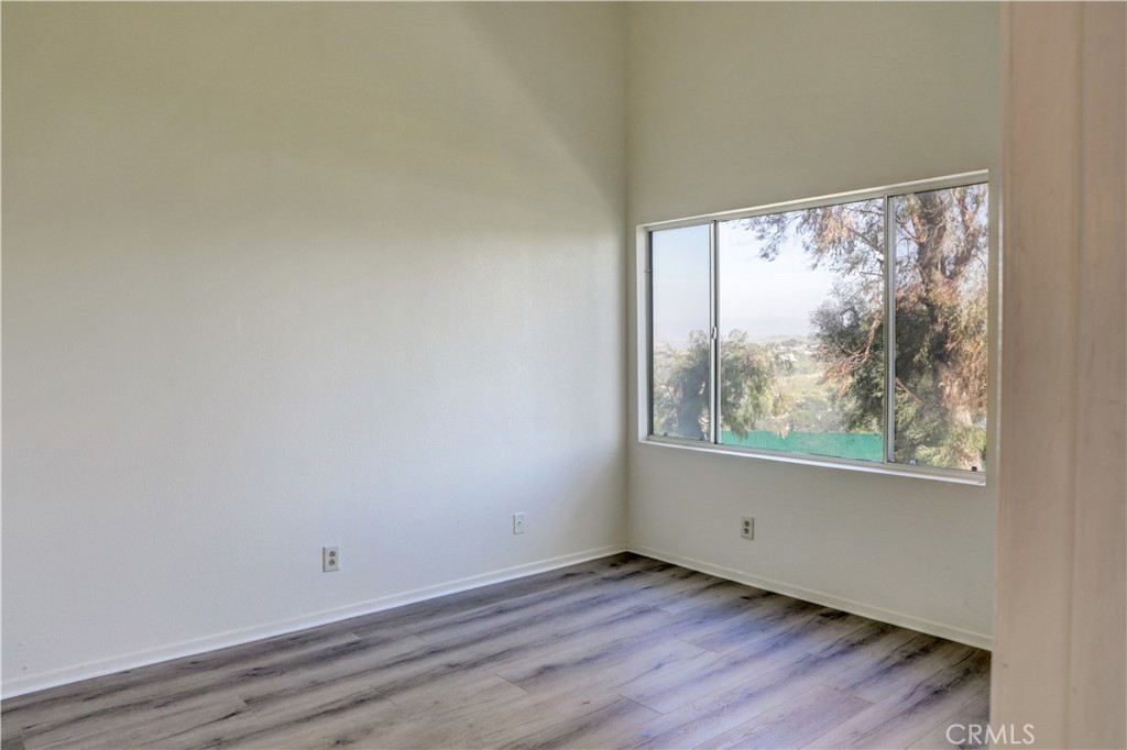 21309 Eucalyptus 203