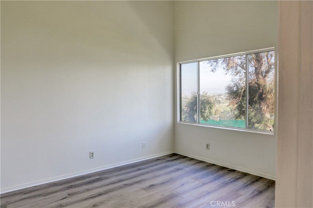 21309 Eucalyptus 203
