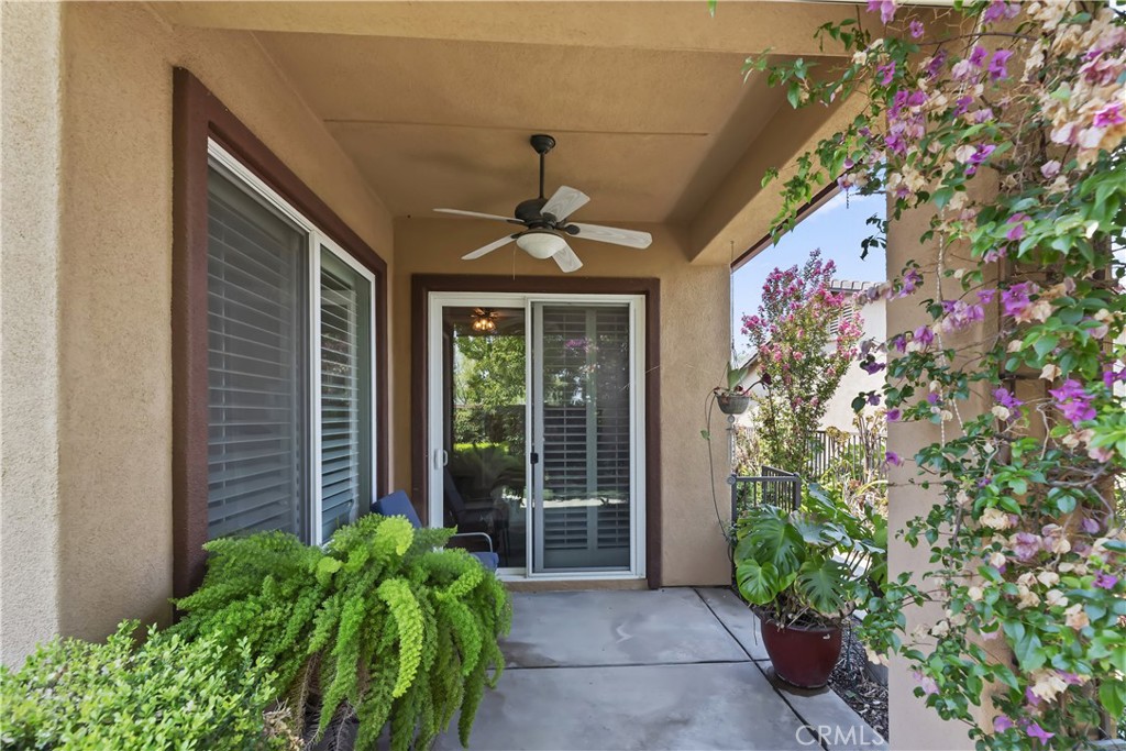 24024 Augusta Drive