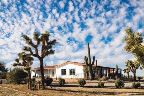 Photo of 57874 Sunny Sands Drive, Yucca Valley, CA 92284 (MLS # JT25228943) Photo of 57874 Sunny Sands Drive, Yucca Valley, CA 92284 (MLS # JT25228943)