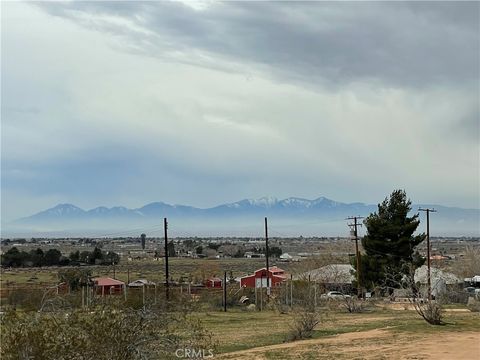 Photo of 14423 Lynn Rd, Apple Valley, CA 92307 (MLS # HD25273928)