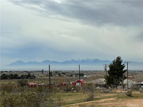 Photo of 14423 Lynn Rd, Apple Valley, CA 92307 (MLS # HD25273928)