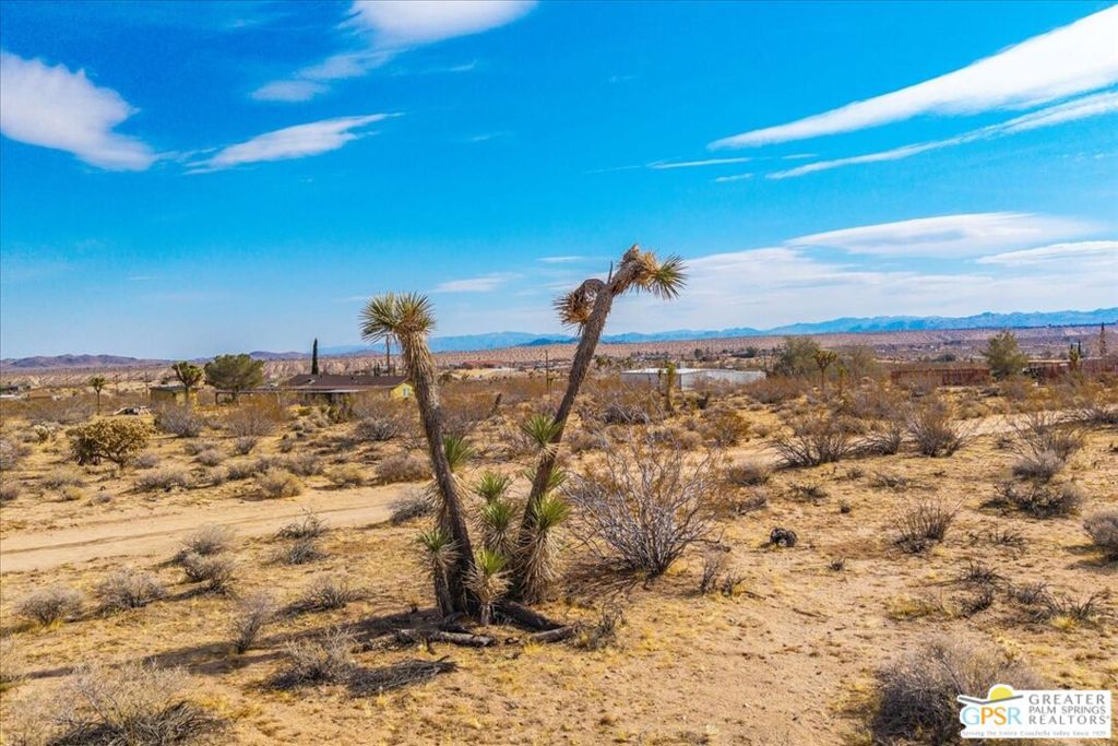 Your Desert Dream Awaits in Flamingo Heights! Embrace the quintessential desert lifestyle on this 2.5-acre lot in the highly sought-after Flamingo Heights neighborhood of Yucca Valley. This prime parcel offers the perfect blend of tranquility and convenience, boasting breathtaking panoramic mountain views and the ease of existing utilities. Imagine waking up to vibrant sunrises and spending evenings stargazing in the clear desert sky. This is your opportunity to build the desert dream home you've always envisioned. Enjoy wide open spaces and the peace and quiet of the Mojave Desert, while still being close to all the action. Explore nearby natural wonders like Giant Rock and Goat Mountain, immerse yourself in the unique experience of the Integratron, or all that Pioneer Town has to offer. Just a short drive away, you'll find Joshua Tree National Park, offering endless opportunities for hiking, rock climbing, and exploration. And when you're ready to indulge in culinary delights, the critically acclaimed La Copine restaurant is just around the corner. Don't miss this chance to own a piece of paradise in one of Yucca Valley's most desirable locations. Come experience the magic of Flamingo Heights and create the desert sanctuary you've always dreamed of!