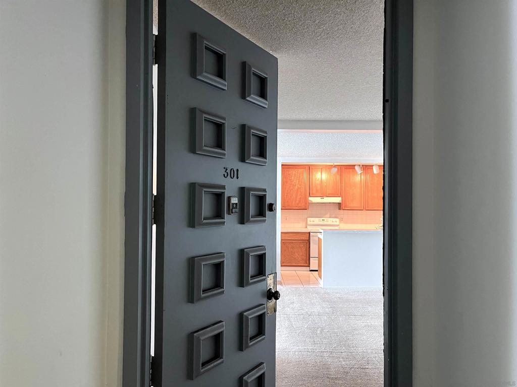 727 Sapphire St 301
