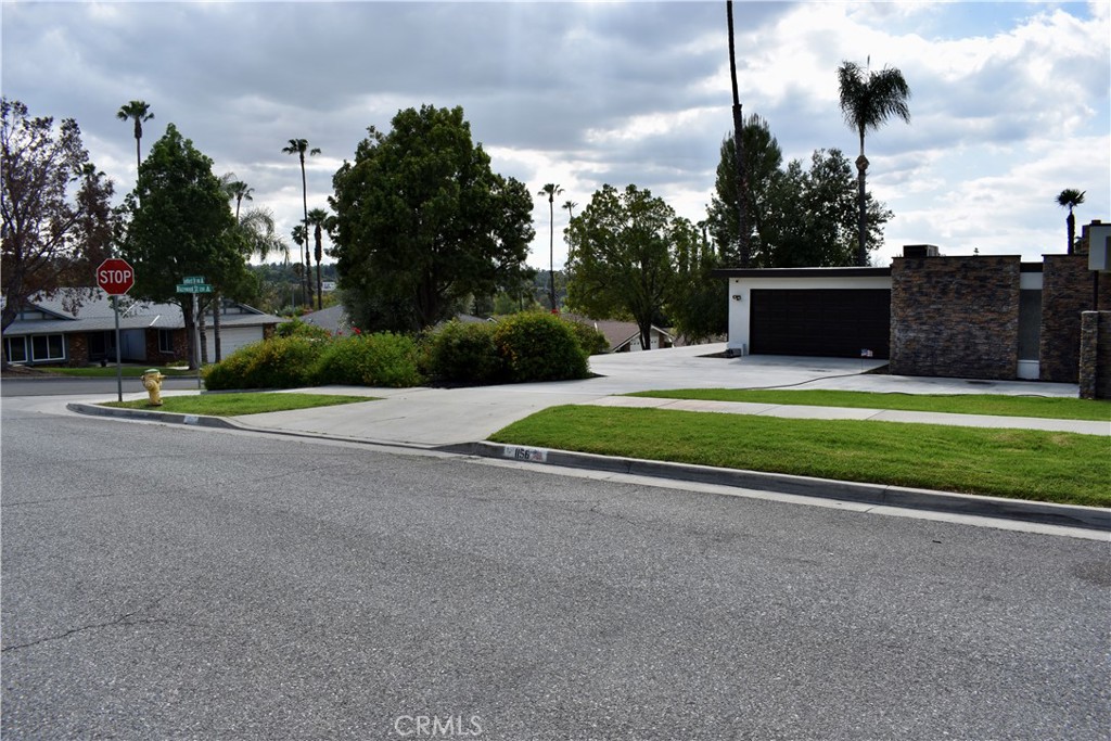 1156 Lyndhurst Drive