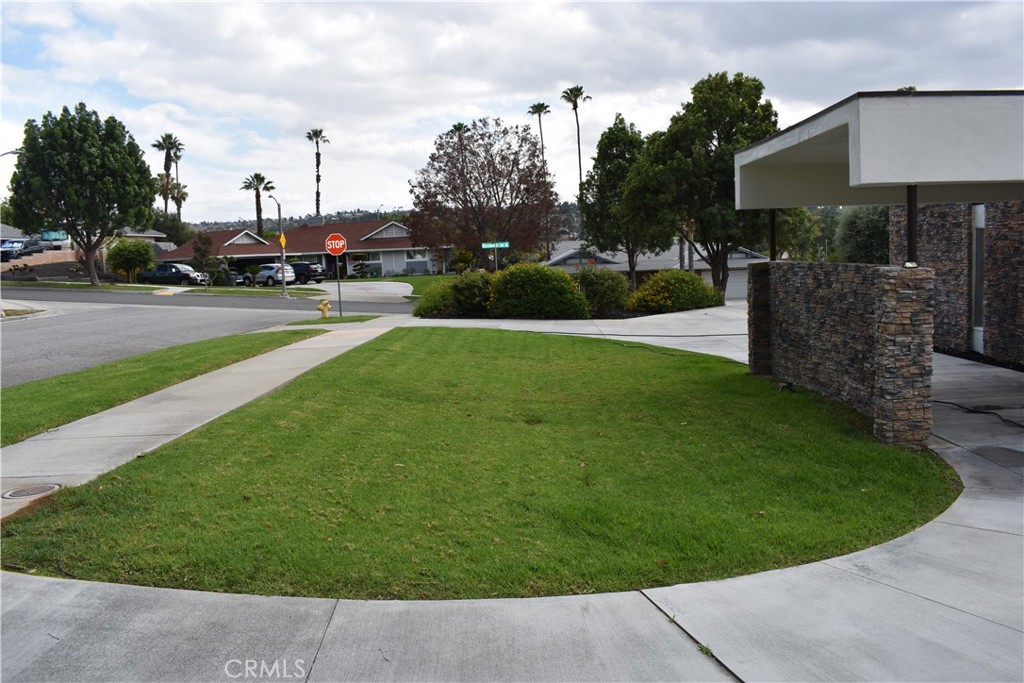 1156 Lyndhurst Drive