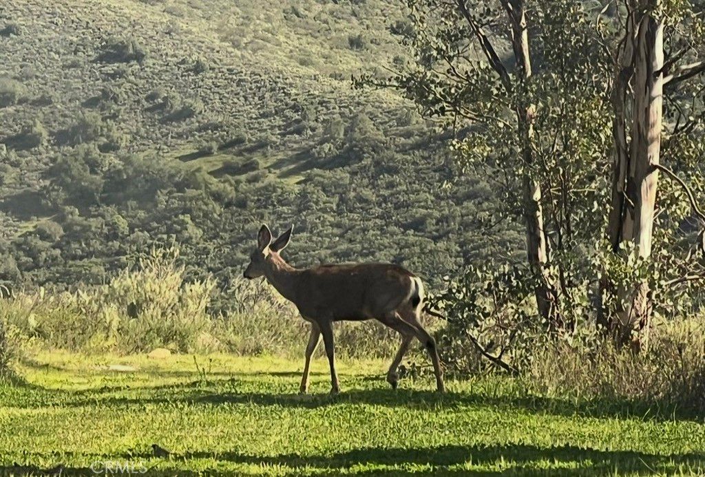 Photo of 0 0, San Juan Capistrano, CA 92675 (MLS # AR26074423)