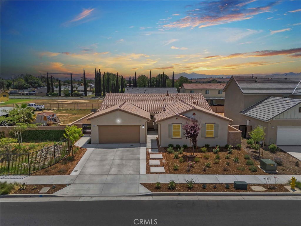 9056 Black Thorn Street