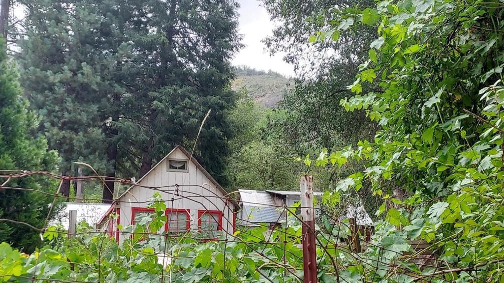 8063 Anderson Valley Road