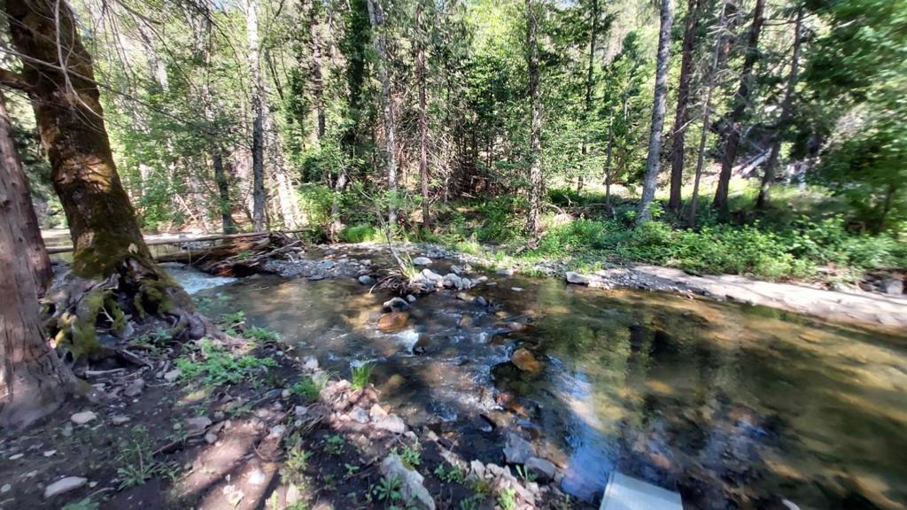 8063 Anderson Valley Road