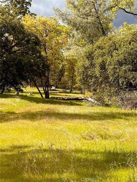 Photo of 4959 Sierra Pines Dr, Mariposa, CA 95338 (MLS # MP26002129)