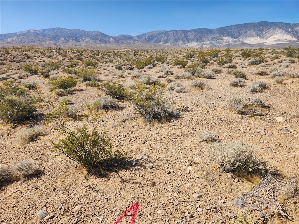 20 AC Dallas Avenue