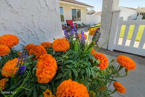 Tiny photo for 2676 Castillo Circle, Thousand Oaks, CA 91360 (MLS # 226004836)