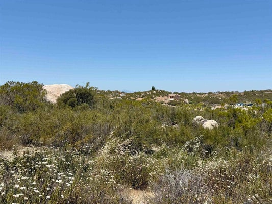 DERBY WAY, AGUANGA, CA 92536 - Image 73a99e14ae2e5ed1eabfab0fa541caf8/887681372